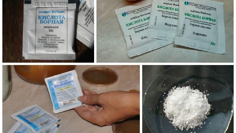 How to prepare a boric acid solution for tomato ovary: proportions and instructions for processing tomatoes