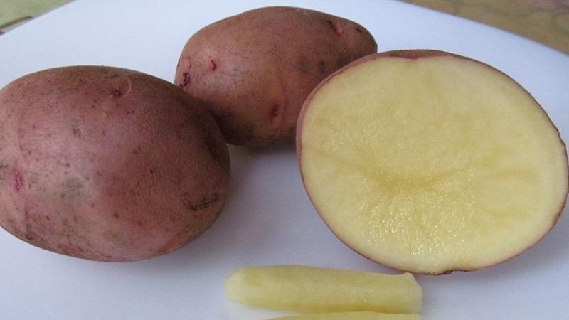 How to use potatoes to treat various diseases