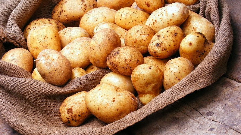 We buy harmless vegetables: how to check potatoes for nitrates at home and what is it for