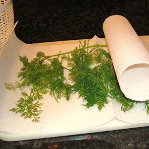 How to store dill for the winter at home: the best storage methods