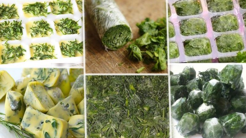 How to store dill for the winter at home: the best storage methods
