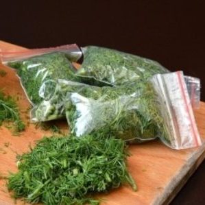 How to store dill for the winter at home: the best storage methods