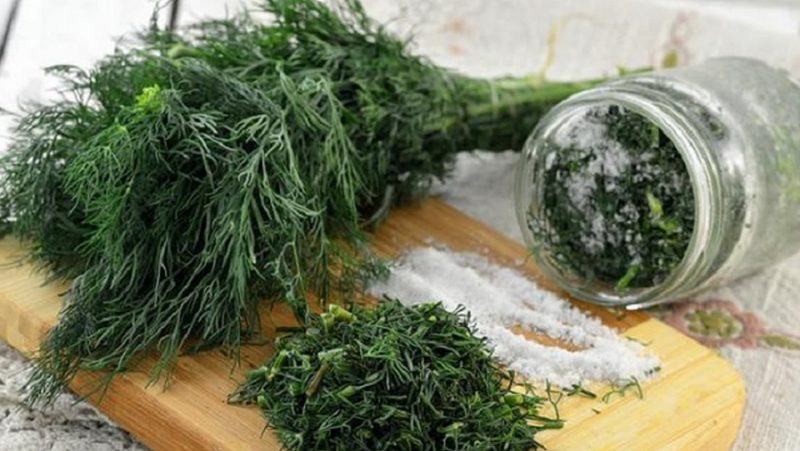 How to store dill for the winter at home: the best storage methods