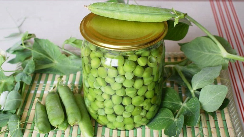 How to save green peas for the winter: we protect the crop from damage in three different ways
