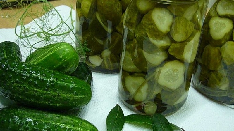 How to pickle large cucumbers for the winter with circles: the most delicious recipes and tips for their preparation