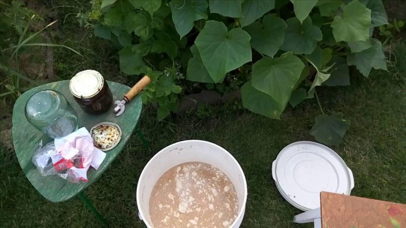 What dressing can be used for cucumbers in a greenhouse during fruiting