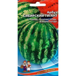 What varieties of watermelons are preferable for planting in Siberia