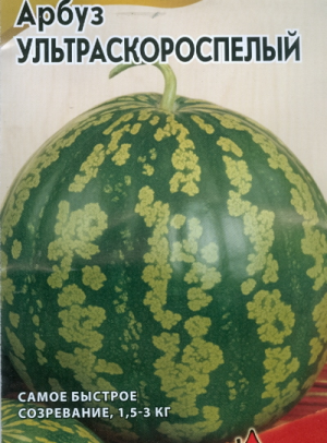 What varieties of watermelons are preferable for planting in Siberia