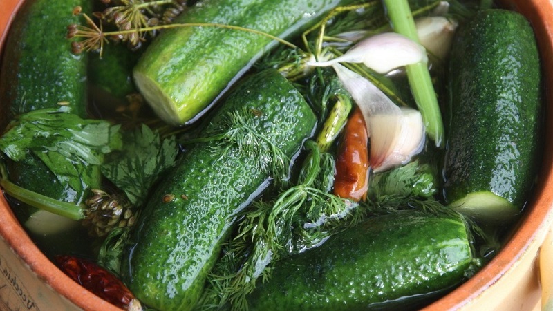 Classic recipes for salted cucumbers in a saucepan