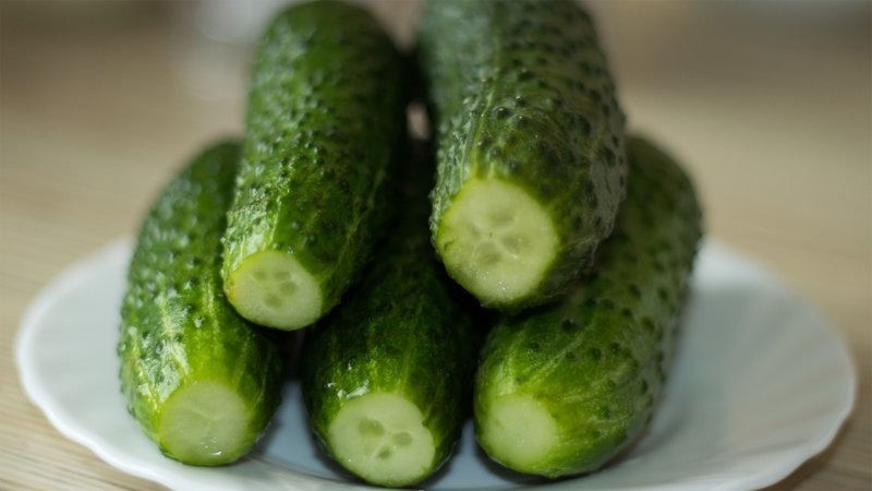 Classic recipes for salted cucumbers in a saucepan