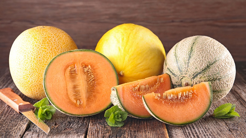 When melons ripen and how to correctly determine their ripeness