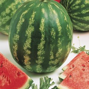 Popular variety of watermelon Crimson sweet: an overview of the advantages, disadvantages and growing technology