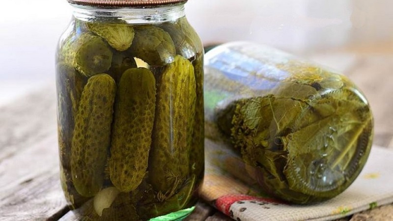 The best recipes for blanks of sweet and sour cucumbers for the winter