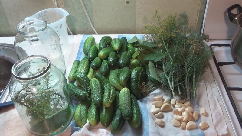 The best recipes for pickling cucumbers in a cold way under a nylon lid