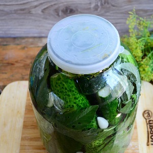 The best recipes for pickling cucumbers in a cold way under a nylon lid