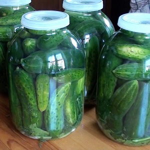 The best recipes for pickling cucumbers in a cold way under a nylon lid