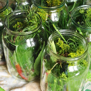 The best recipes for pickling cucumbers in a cold way under a nylon lid