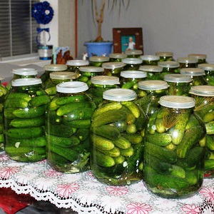 The best recipes for pickling cucumbers in a cold way under a nylon lid