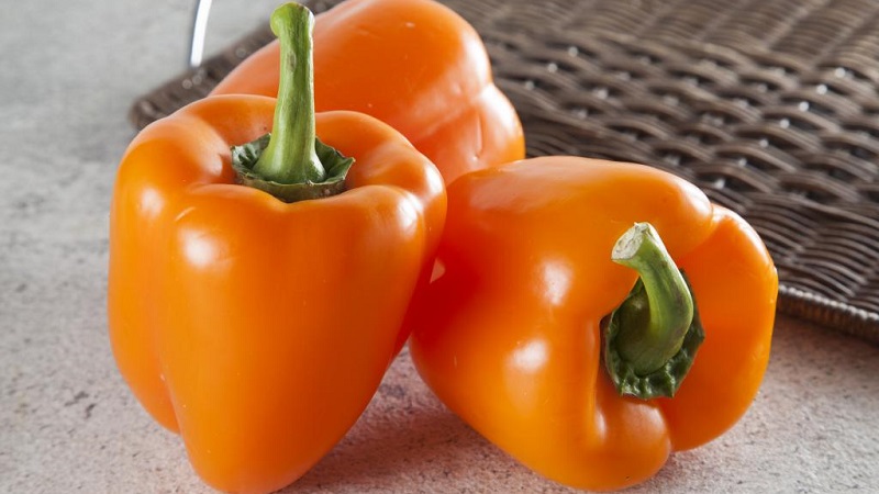 The best sweet peppers for greenhouses in the Moscow region