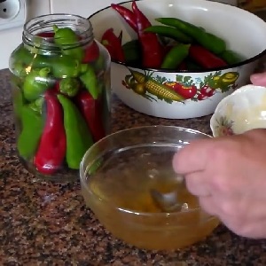 The best ways to harvest hot peppers for the winter: recipes for preserving and drying hot seasonings