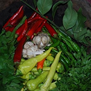 The best ways to harvest hot peppers for the winter: recipes for preserving and drying hot seasonings