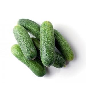 Delicious and easy-to-grow cucumbers Lukhovitsky