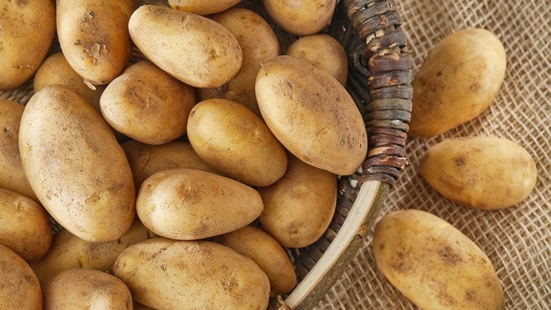 Can you eat potatoes while breastfeeding?