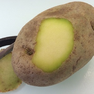 Is it possible to eat green potatoes, is it dangerous for the human body and why