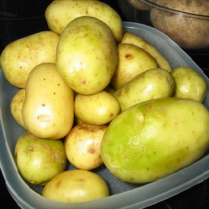 Is it possible to eat green potatoes, is it dangerous for the human body and why