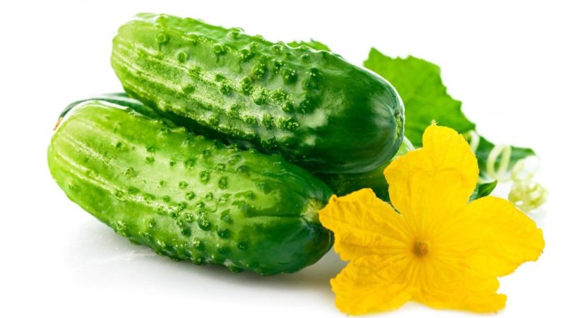 Is it possible to salt cucumbers with apple cider vinegar for the winter and how to do it right