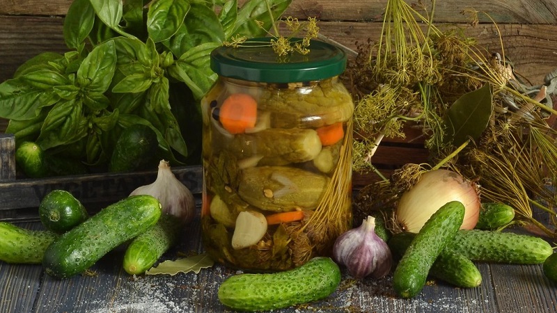 Is it possible to salt cucumbers with apple cider vinegar for the winter and how to do it right