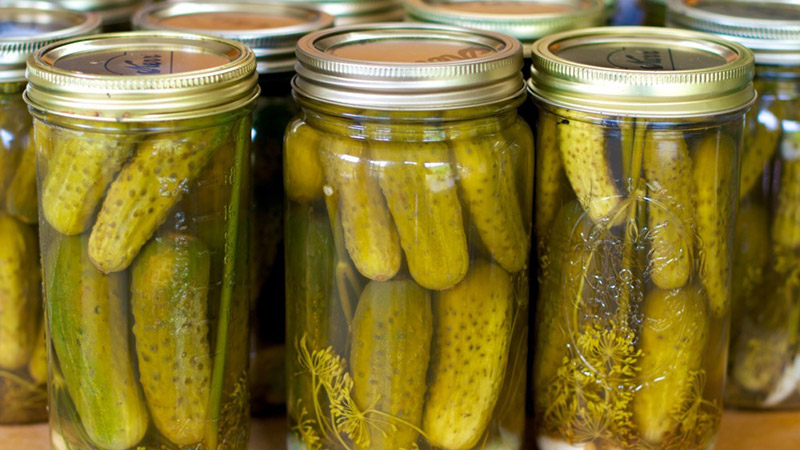 Is it possible to salt cucumbers with apple cider vinegar for the winter and how to do it right