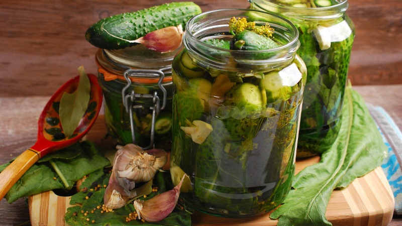 Is it possible to salt Zozulya cucumbers and how to do it correctly