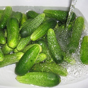 Is it possible to salt Zozulya cucumbers and how to do it correctly