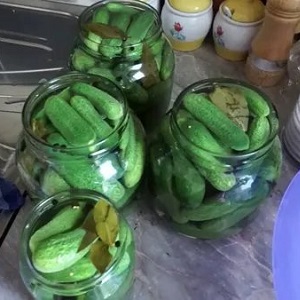 Is it possible to salt Zozulya cucumbers and how to do it correctly