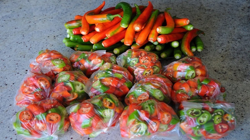 Is it possible to freeze hot peppers for the winter: we save the hot vegetable correctly