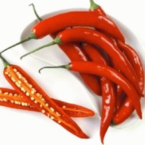 Is it possible to freeze hot peppers for the winter: we save the hot vegetable correctly