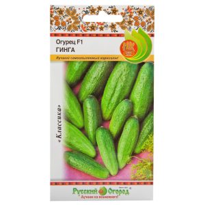 Ginga f1 hybrid cucumber from german breeders
