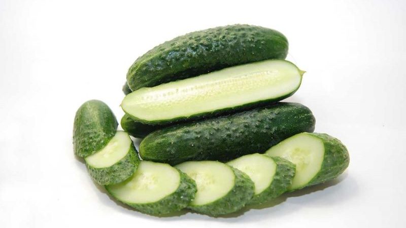 Tips for growing cucumbers Masha F1: how to get a good harvest in winter