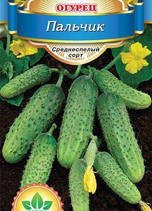 A productive and easy-care variety of cucumbers Fingers with excellent tasty fruits