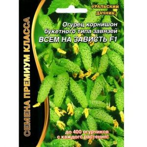 A wonderful hybrid with a telling name - cucumbers Everyone envy