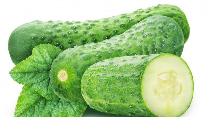 Vyaznikovskie cucumber variety - incomparable fresh and good for winter harvesting