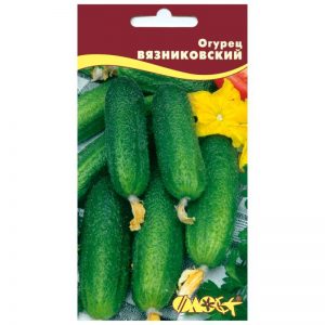 Vyaznikovskie cucumber variety - incomparable fresh and good for winter harvesting