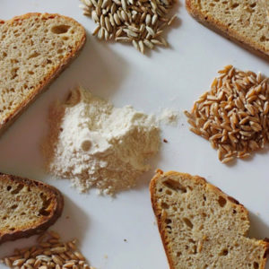 Dangerous gluten: is it in oats
