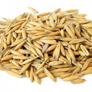 Dangerous gluten: is it in oats