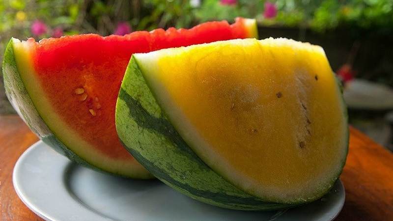 Description and characteristics of yellow watermelons