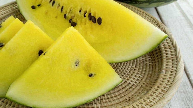 Description and characteristics of yellow watermelons