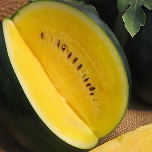 Description and characteristics of yellow watermelons