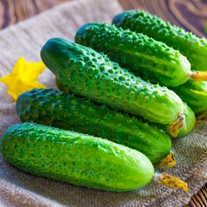 Domestic hybrid of cucumbers Garland, which will delight you with a rich harvest