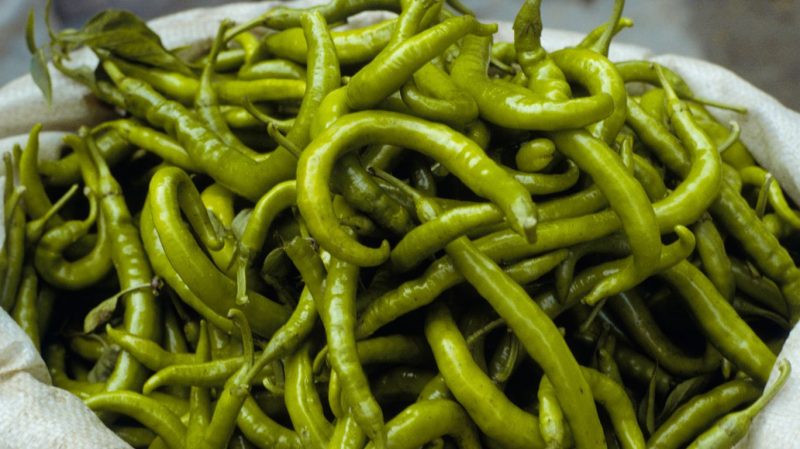 Pros and cons of growing Tsitsak pepper: how to get a good harvest